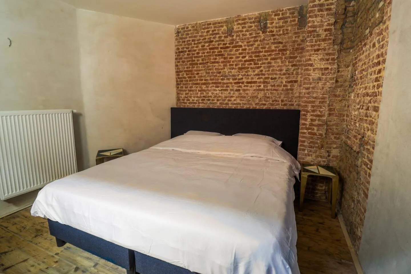 Zooside Suites Antverpy 0*,  Belgie