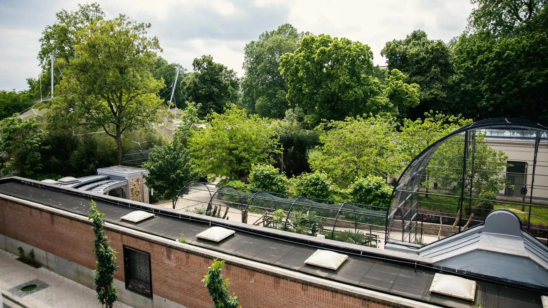 Zooside Suites Antverpy 0*,  Belgie