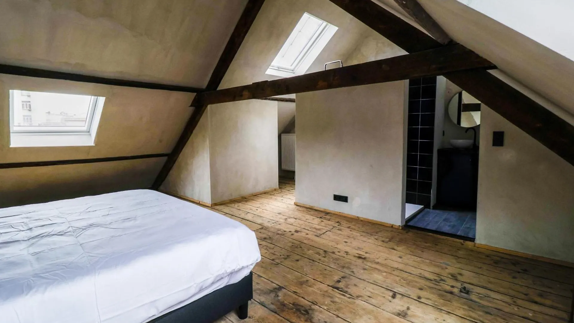 Zooside Suites Antverpy