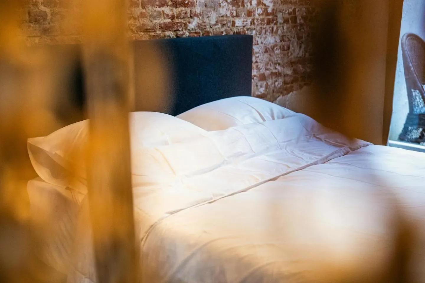 Zooside Suites Antverpy Belgie